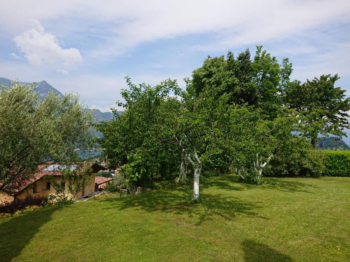 Villa Primula Bellagio Bagian luar foto