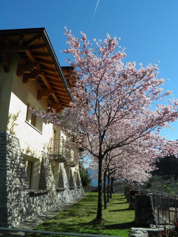 Villa Primula Bellagio Ruang foto