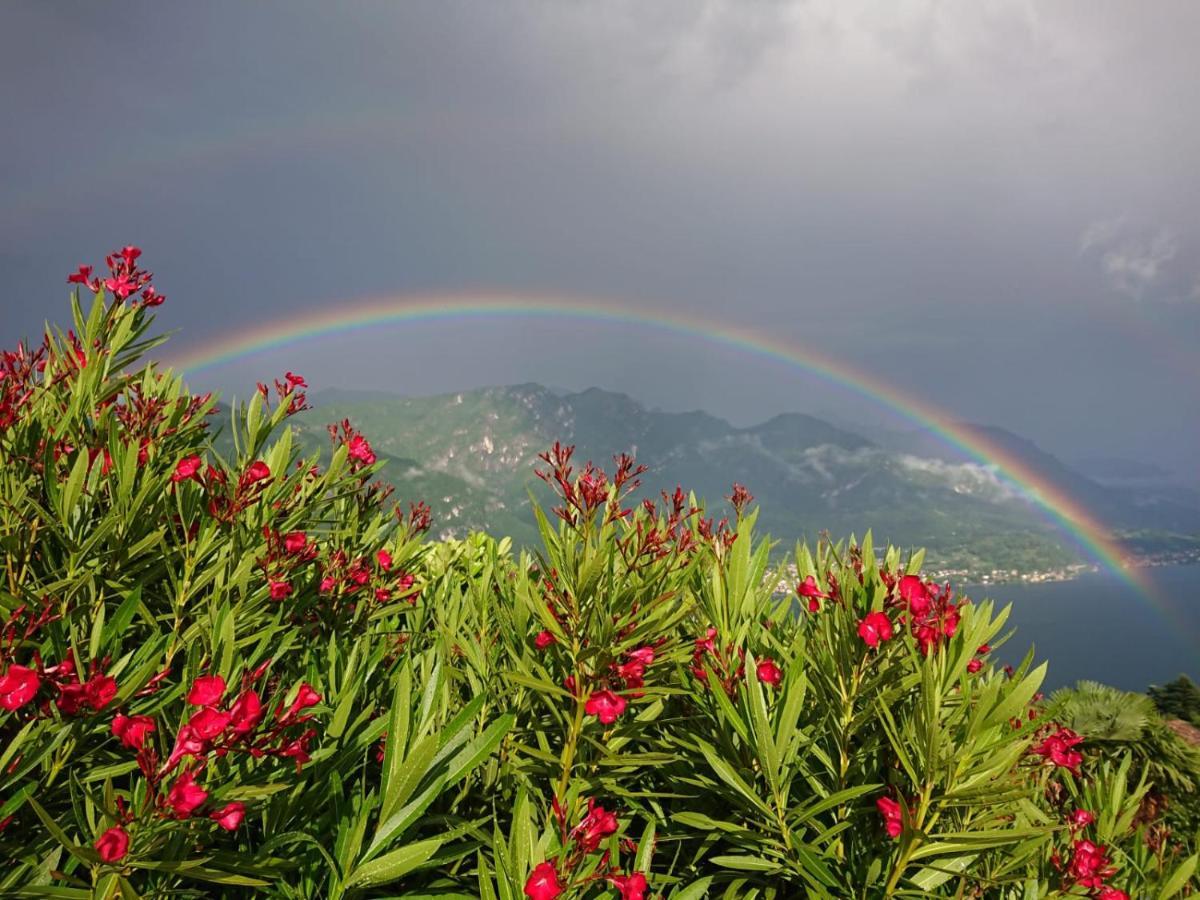 Villa Primula Bellagio Bagian luar foto